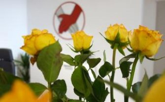 Blumen am Empfang Physiotherapeut Dortmund